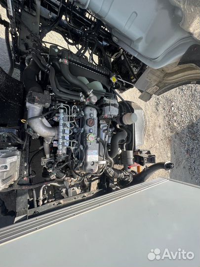 Isuzu Elf (N-series), 2024