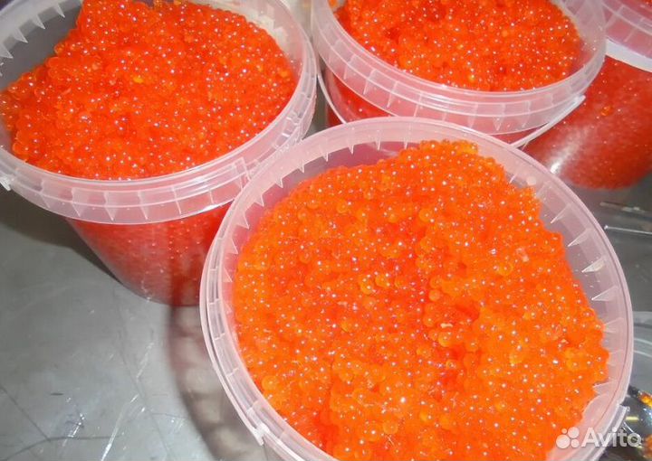 Красная икра август 2023 оптом и мелким оптом