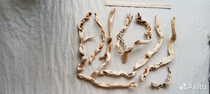 Дрифтвуд 2а