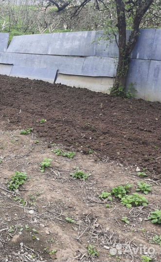 Вспашка огорода мотоблоком