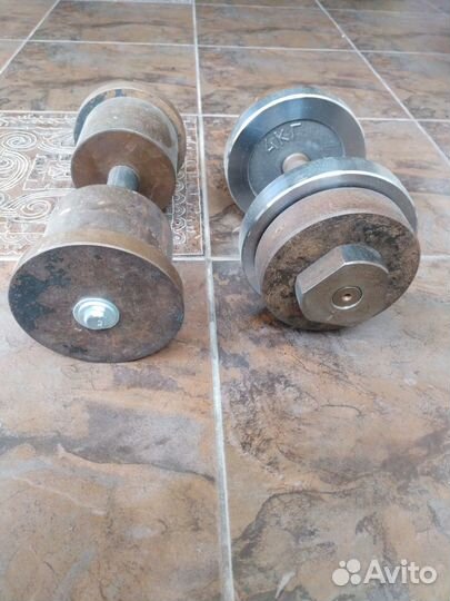 Две гантели по 20 кг