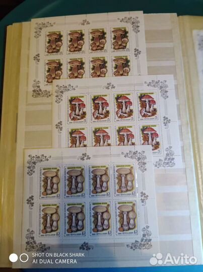 Почтовые марки СССР