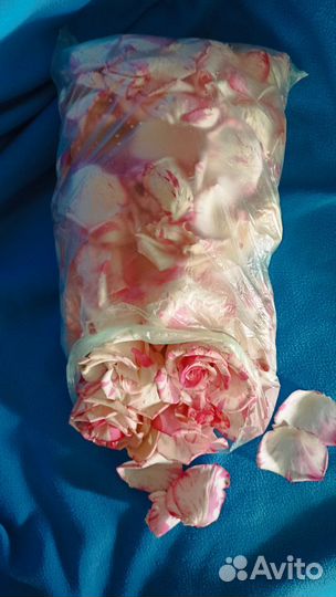 Лепестки роз