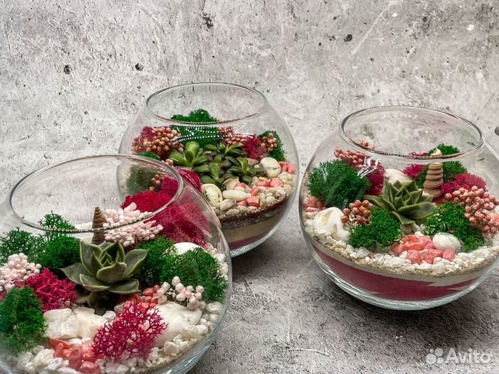 Флорариум. Подарок