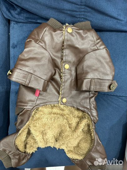 Куртка для маленькой собаки