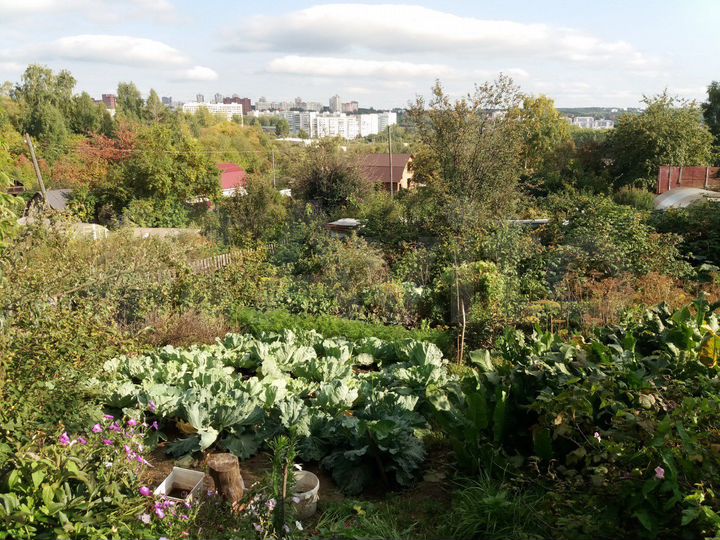 Дача 16 м² на участке 7,3 сот.