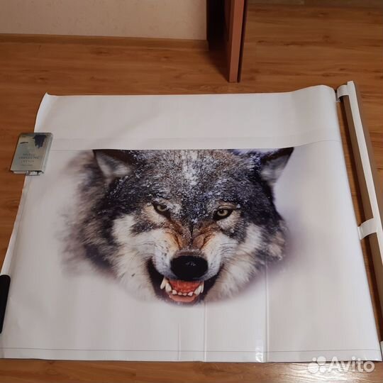 Бронепленка