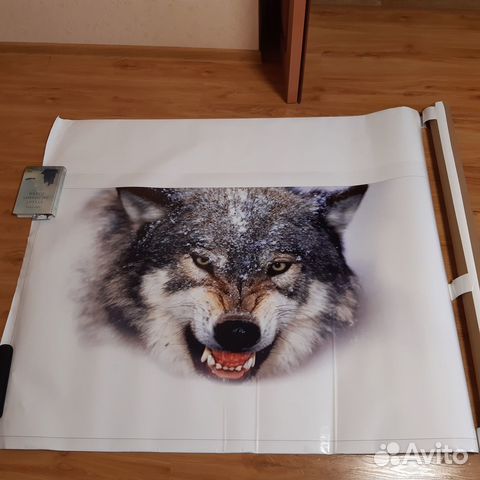 Бронепленка