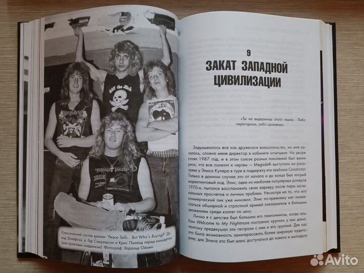 Автобиография Дэйв Мастейн