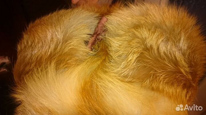 Шапка из рыжей лисы