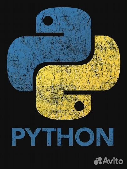 Репетитор, метор Python