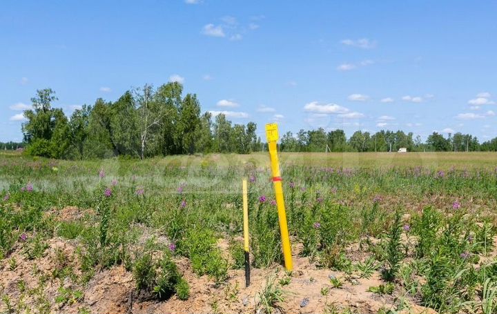 Участок 8 сот. (СНТ, ДНП)