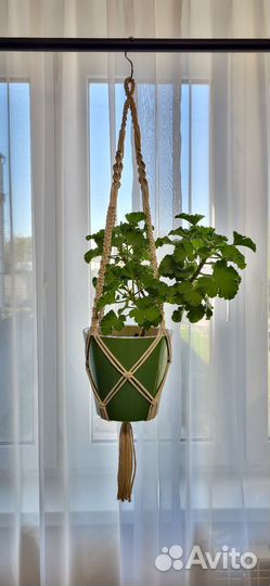 Подвесы для цветов макраме