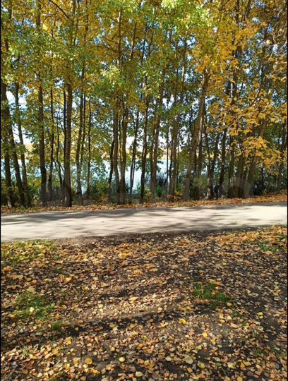 Участок 14,1 сот. (ИЖС)