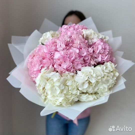 Цветы Гортензии, цена от производителя