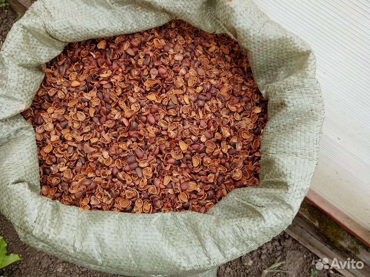 Мульча из скорлупы кедрового ореха