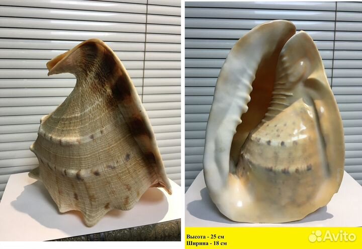 Сувениры в ассортименте