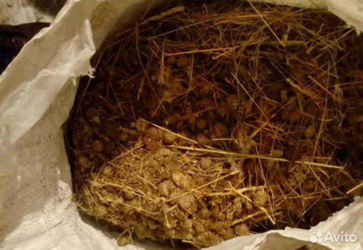 Козий навоз