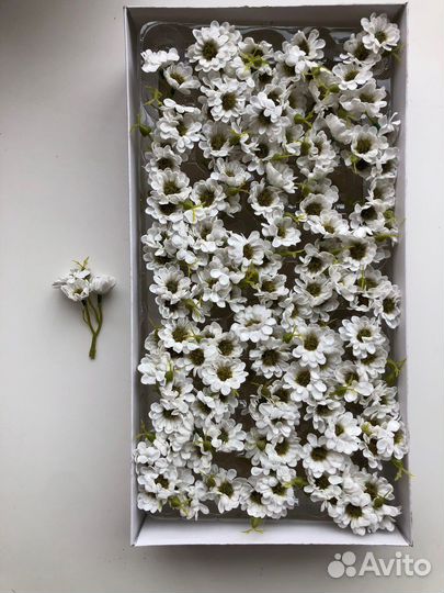 Мыльные цветы хризантемы