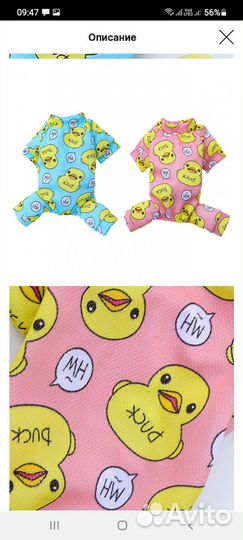 Одежда для маленьких собак