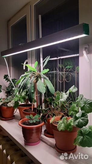 Накладной Фито светильник 70Вт