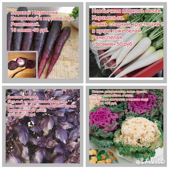 Семена овощей