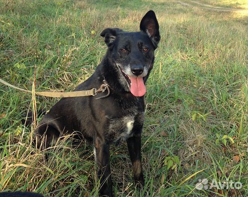 Роскошная Лола: шик, блеск, красота