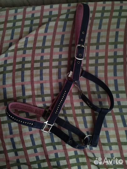 Недоуздок для лошади