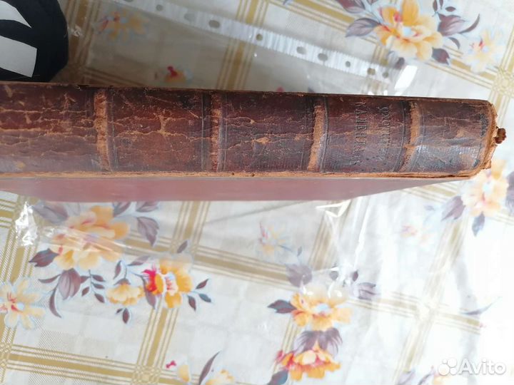 Охотничий календарь 1885 г