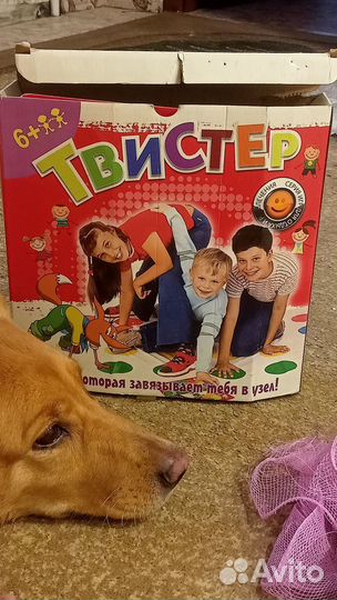 Игра твистер