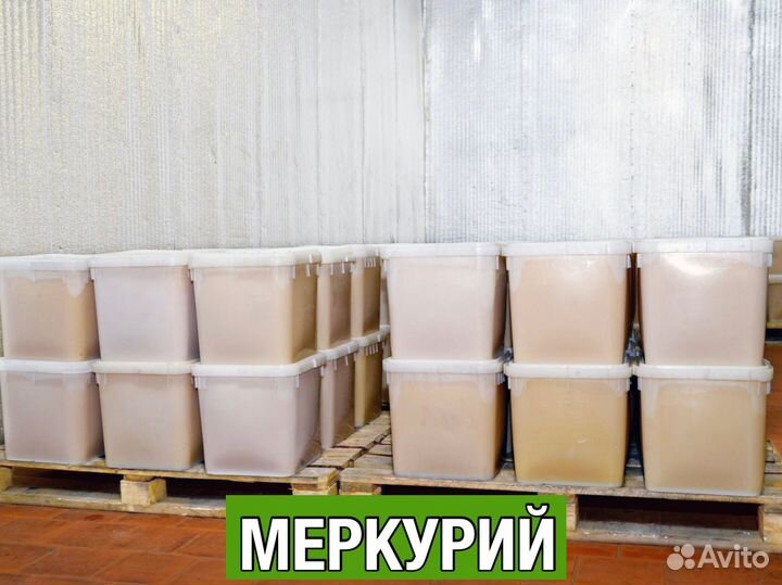 Мёд оптом в ассортименте с Алтая