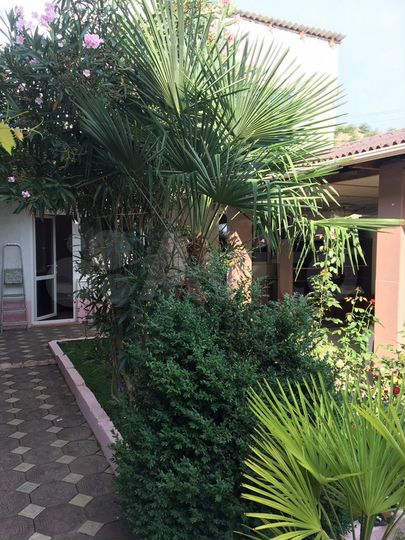 Дом 550 м² на участке 5,5 сот.