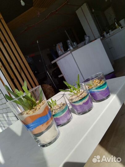 Флорариум в стакане с водоёмом мини сад