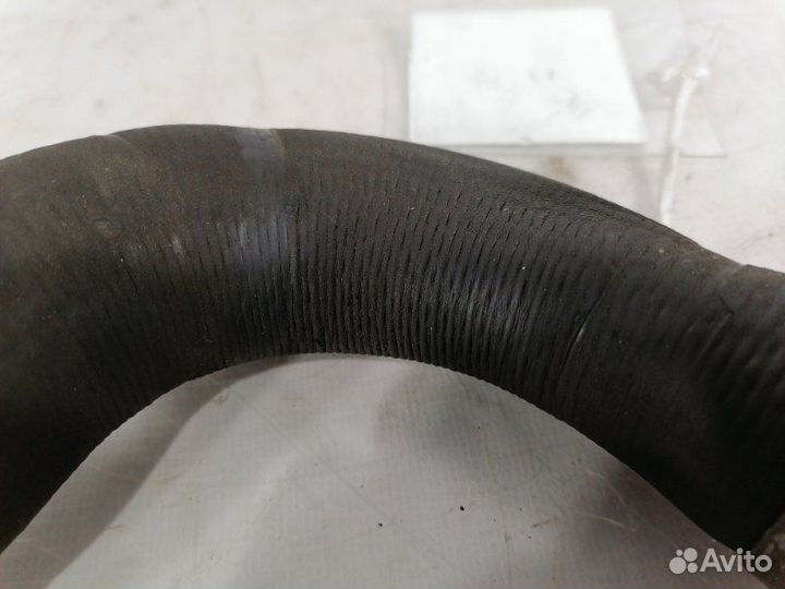 Патрубок системы охлаждения верхняя Subaru Legacy