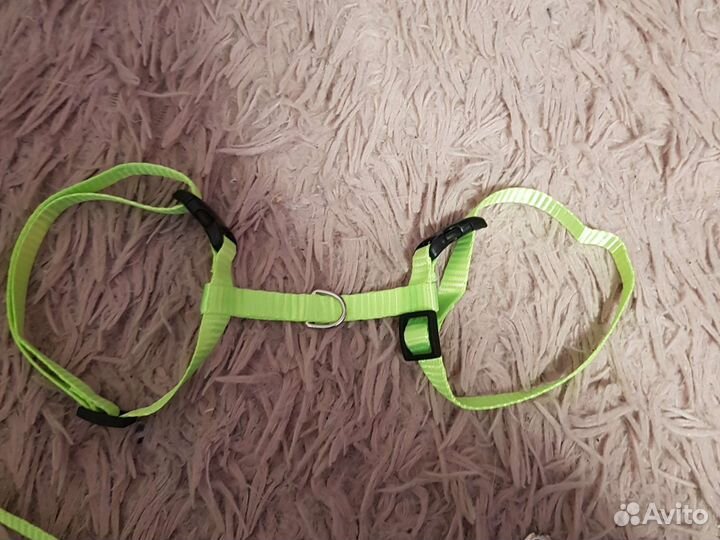 Шлейка для котов