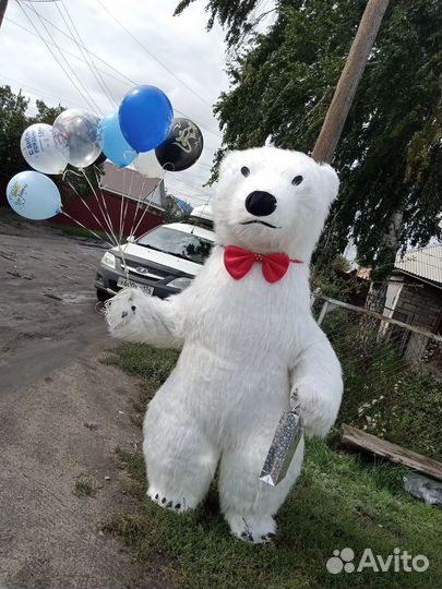 Белый Медведь (Умка) Аниматор