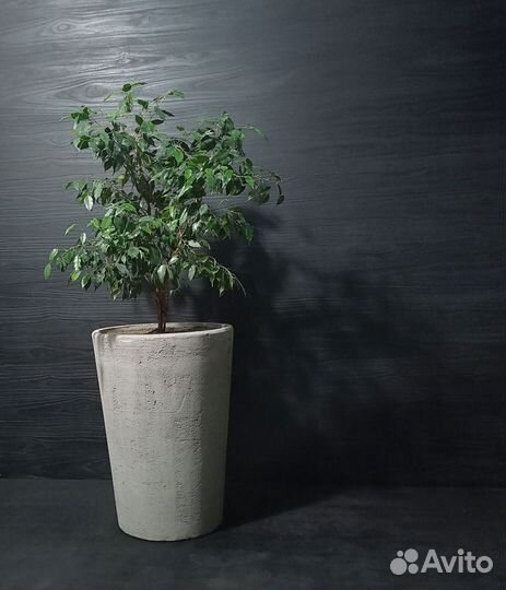 Кашпо, Вазоны, Горшки под заказ из бетона