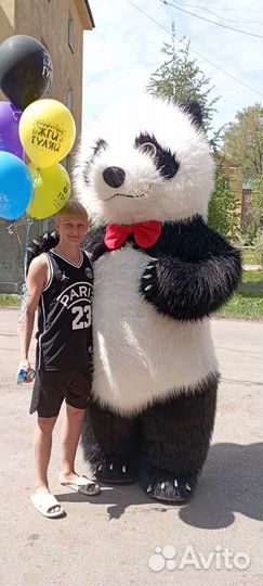 Белый мишка, заяц Плюша и мишка Тедди,поздравления