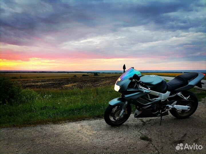Honda vtr1000f firestorm