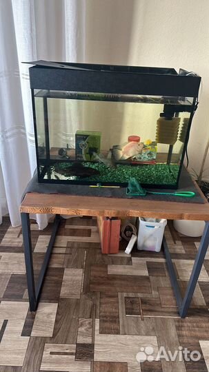 Аквариум