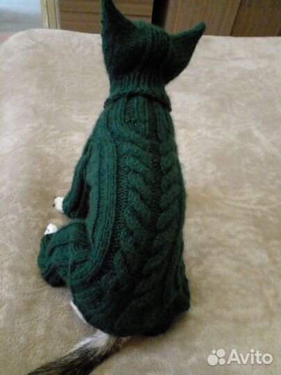 Вязание на заказ для Чехуахуа