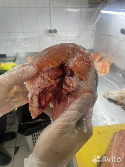 Головы лосося