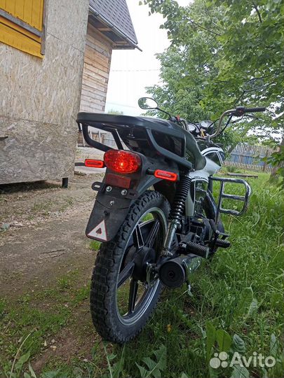 Alpha Motolend Rx 11