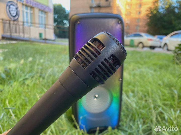 Большая колонка 80вт Greatnice 58см +Микрофон