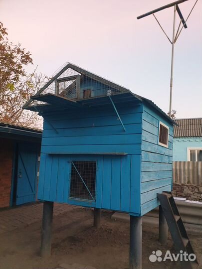 Голубятня продажа