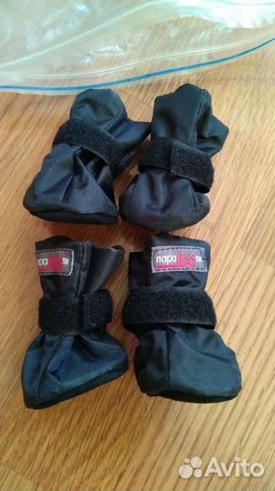 Комбинезон, башмачки для собаки