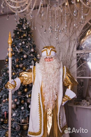 Дед Мороз и Снегурочка на Ваш праздник