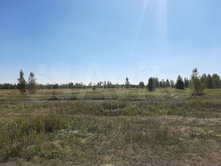 Участок 33 га (СНТ, ДНП)