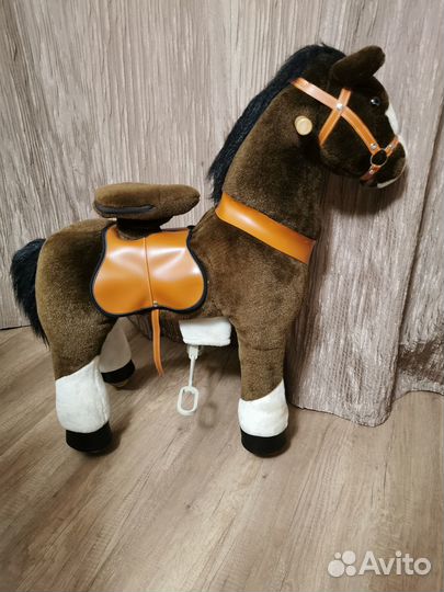 Поницикл. Лошадь. Конь. Пони