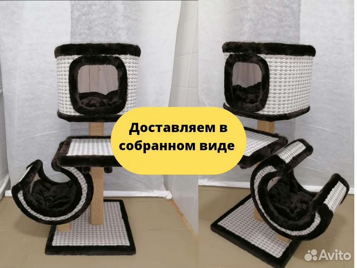 Когтеточка